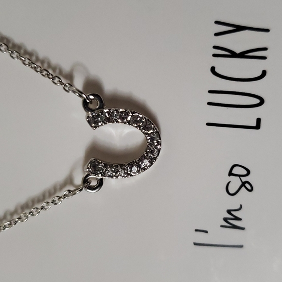 Horseshoe Necklace I'm so lucky to have you in my life Rhinestone Dainty Horsesh - Picture 4 of 9